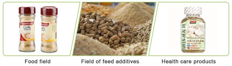 Bulk Garlic Extract